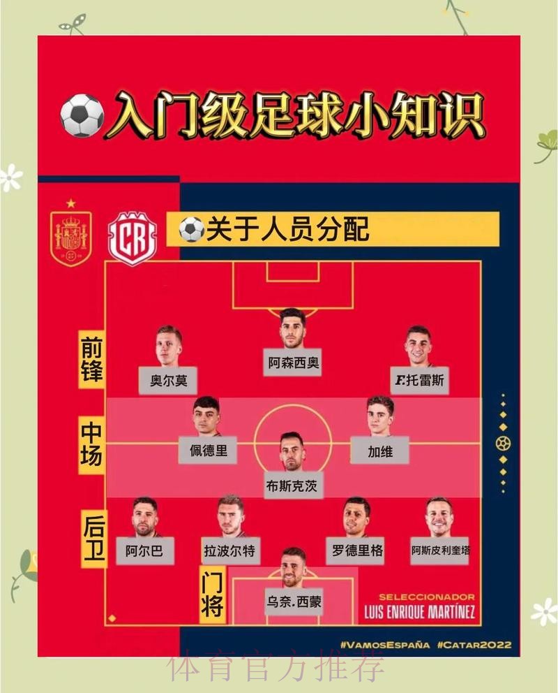 全面解析：世界杯直播教程的最佳指南