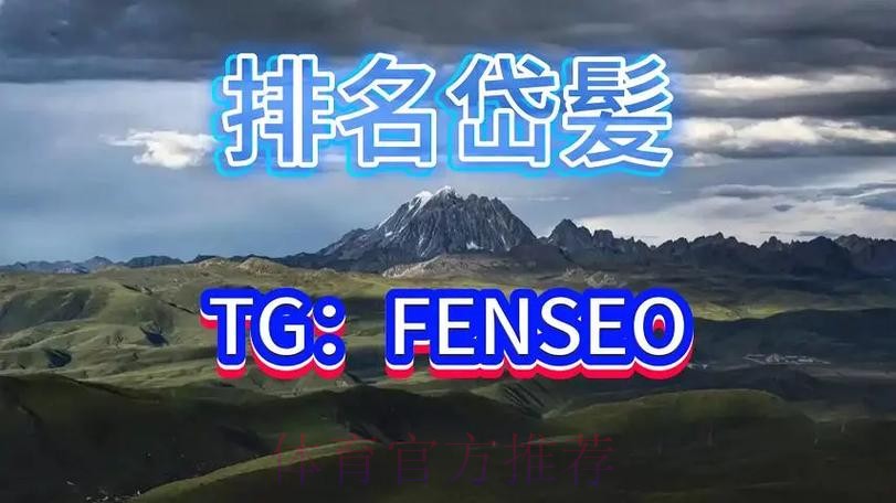 深入解析世界杯买球平台的独特优势